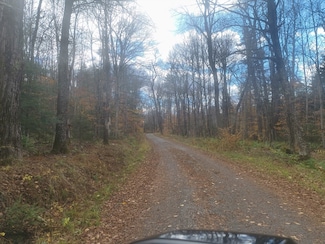 00 Yale Rd, Peru, MA 01235