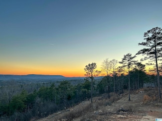 8150 Dunnavant Rd Unit 1, Leeds, AL 35094