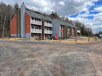 81 Scribner Hollow Rd Unit D-2, Hunter, NY 12424