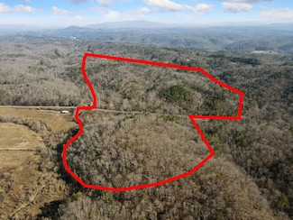 61 Acre Whitestone Rd, Talking Rock, GA 30175