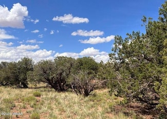4062/4066 Apache Rd, Snowflake, AZ 85937