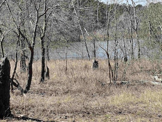 028 Pr 6028, Brookeland, TX 75931