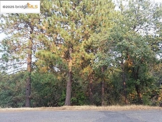 21473 Green Oaks Ct, Sonora, CA 95370