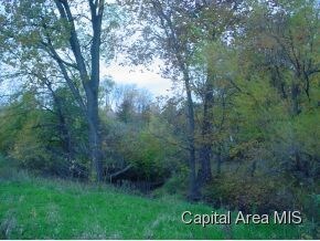 3 Old Jacksonville Rd, Berlin, IL 62670