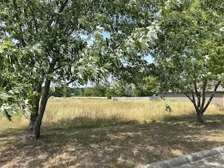 #17-5481 Anita Ave, Pleasant Hope, MO 65725