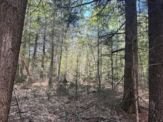 Lot#10 Shamrock Ln, Damariscotta, ME 04543
