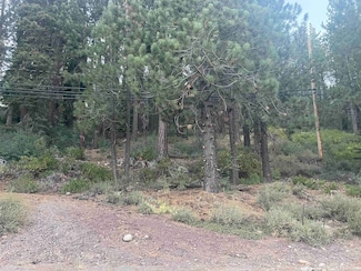 12552 Richards Blvd, Truckee, CA 96161