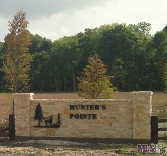 26 Hunters Pointe Ln, Brusly, LA 70719