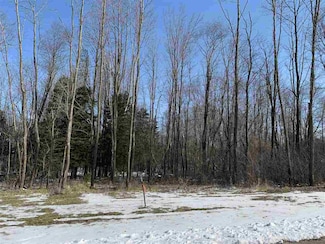 Lot 6 Nicholas Ave, Wittenberg, WI 54499