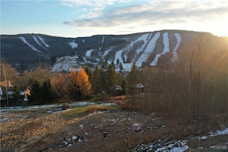 2018 Amalia Dr, Virgil, NY 13045