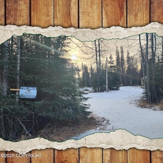 45124 Holt-Lamplight Rd, Nikiski, AK 99611