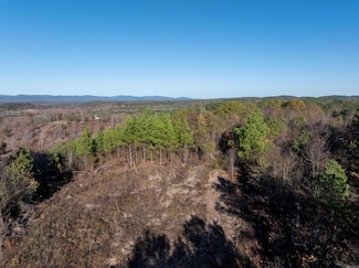 Lot 13 Polk Road 617, Mena, AR 71953