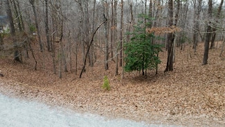 57 Acacia Ct, Ellijay, GA 30540