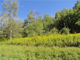 10878 Rosy Hill Rd, Prattsburgh, NY 14873