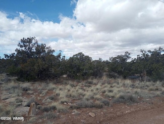 3958 Apache Rd, Snowflake, AZ 85937