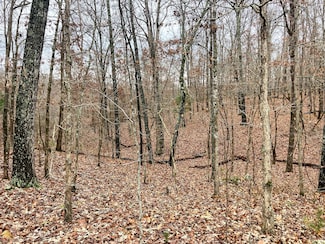 Tbd Us Highway 160, Tecumseh, MO 65760