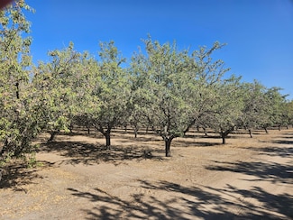 0 S Parlier Ct Unit N. of E. Lincoln Ave, Parlier, CA 93648