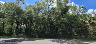 1939 S Melanie Dr, Homosassa Springs, FL 34448