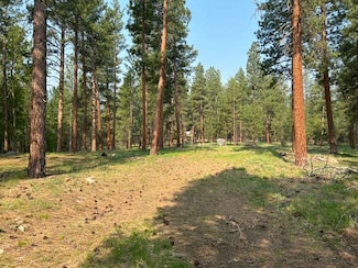 440 Sharrott Hill Loop Unit lot 5, Stevensville, MT 59870