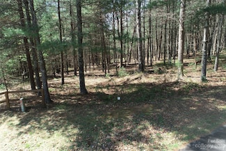 1301 Scenic Vista Dr, Nebo, NC 28761