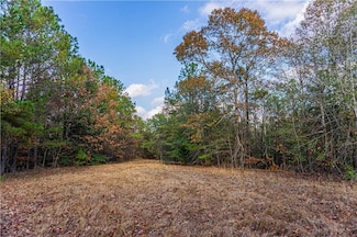 0 Lee Road 175 Unit 177730, Salem, AL 36874