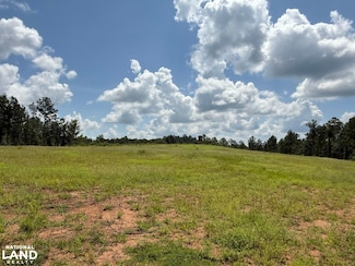 0 County Road 51, Marion, AL 36756