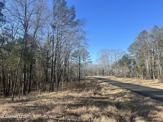 0 Springwood Trail Unit 22461150, Flora, MS 39071