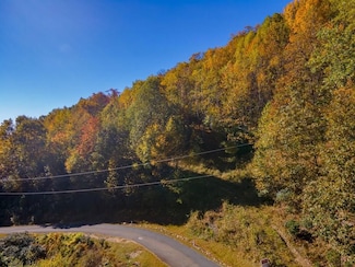 Starry Nights Dr, Fancy Gap, VA 24328