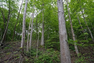 0 Township Rd 460 Unit 23726932, Woodsfield, OH 43793