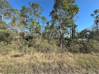 124 E Alachua St, Palatka, FL 32177