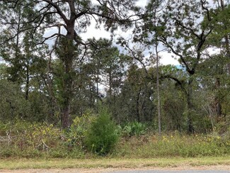12137 Jaybird Rd, Weeki Wachee, FL 34614