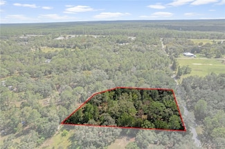 25 S Haid Terrace, Lecanto, FL 34461