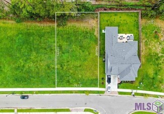 12924 Solemn Oaks Ave, Baton Rouge, LA 70818