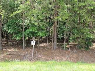 LOT 7 Dillards Hill Rd, Union Hall, VA 24176