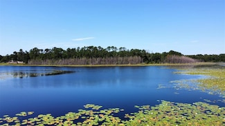 0 Keene Rd Unit MFRG5077683, Altoona, FL