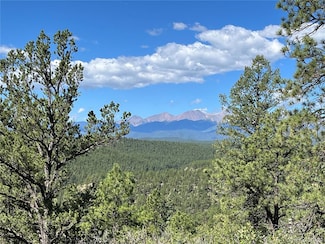 14200 County Rd 28 8, Weston, CO 81091