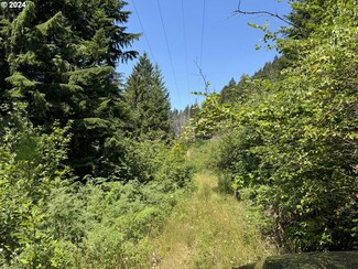 0 N Santiam Hwy Se 22 Unit TL 1600 24032526, Detroit, OR 97342