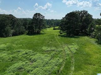 0 County Road 295 Unit 1 21423333, Jemison, AL 35085