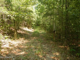 0 Mississippi 39, de Kalb, MS 39328