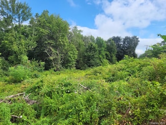 W NYS RTE 208 Highwa (Bona Ventura) Ave, Wallkill, NY 12589