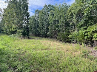 lots 3-5, 10-13 Homestead Ln, Gassville, AR 72635