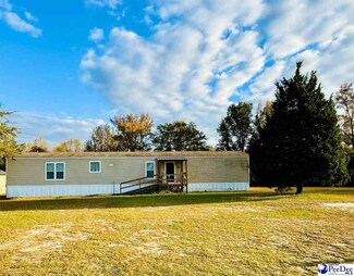 4137 Albert Ln, Wallace, SC 29596