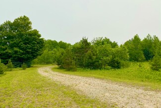 0000 County Road 397, Pentland Township, MI 49868