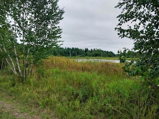 58747 Finlayson Rd, Sandstone, MN 55072