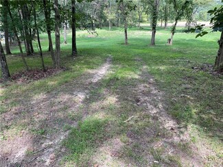 10293 County Road 53, Bergholz, OH 43908