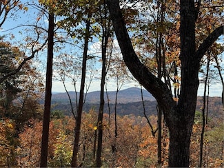 160 Bluestern Dr, Jasper, GA 30143