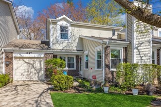 897 Colony Lake Dr, Schaumburg, IL 60194