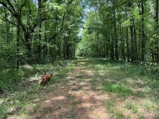 0 Highway 21 Unit 570652, Furman, AL 36741