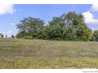 318 Ramblewood Rd, Chatham, IL 62629