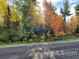 Lot #1 Greenwood St, Ishpeming, MI 49849